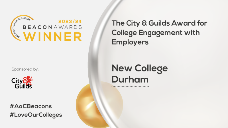 The City Guilds Award for College Engagement with Employers winner graphic