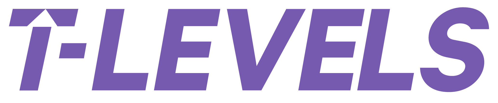 T Levels Logo